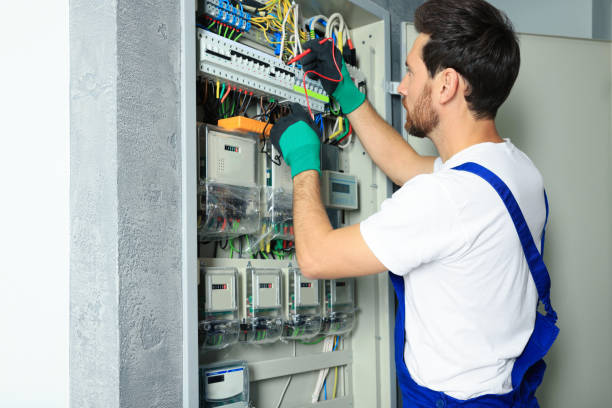 Best Electrician for Home Renovation  in Heidelberg, TX